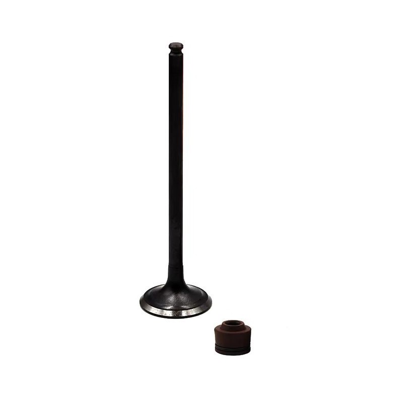 Exhaust Valve For Honda AX1 Taiwan