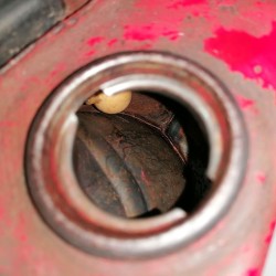 Τεπ΄όζιτο Suzuki Landie FM50