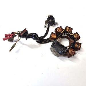 Πηνεία Yamaha F1ZR