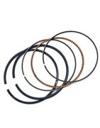 Piston Rings