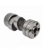 Camshafts