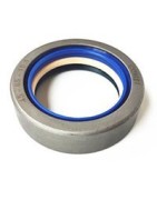 Τσιμούχες Κινητήρα