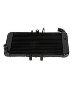 Water-Oil Radiators